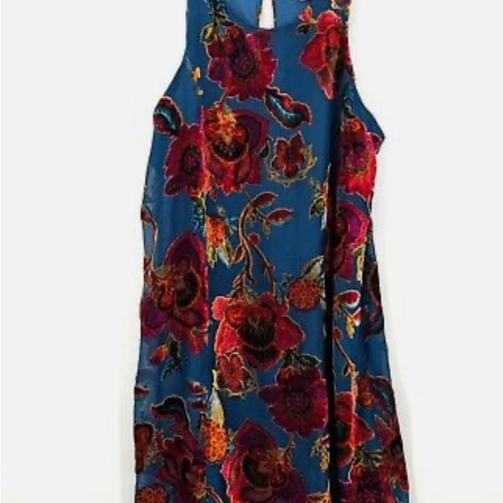 Floral Sleeveless Dress - Blue and Red